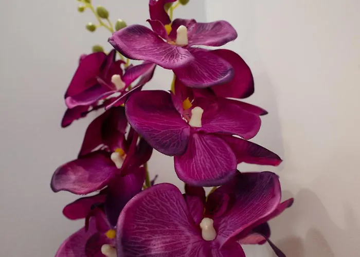 شقة فندقية Circle Center 4*